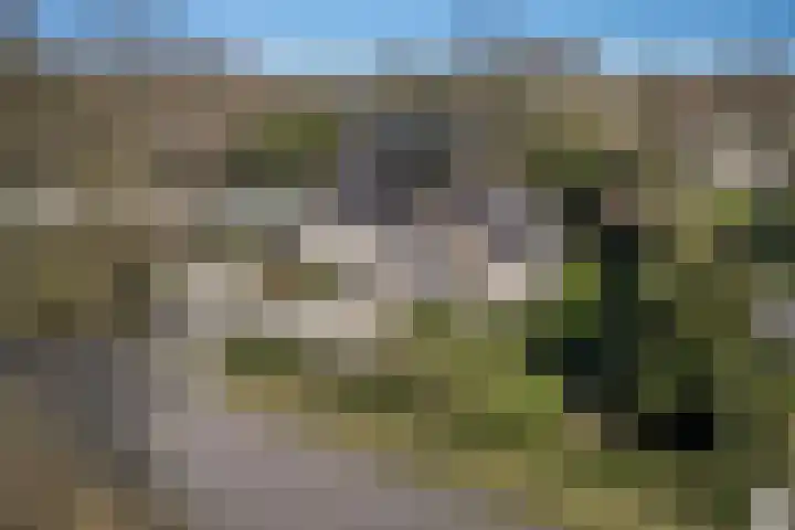 Willibrordusweg 96 Oss thumbnail 42