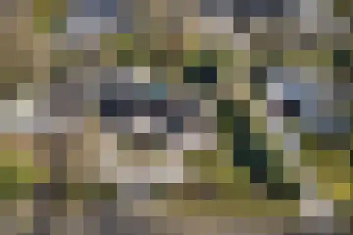 Willibrordusweg 96 Oss thumbnail 44