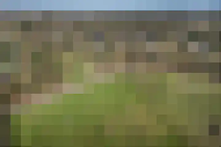 Willibrordusweg 96 Oss thumbnail 46
