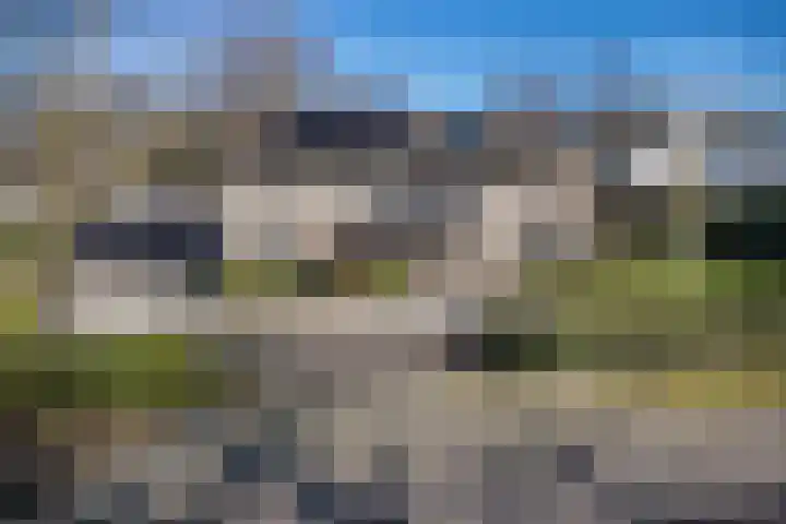 Willibrordusweg 96 Oss thumbnail 47