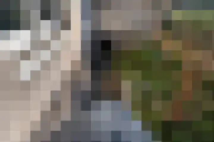 Willibrordusweg 96 Oss thumbnail 48