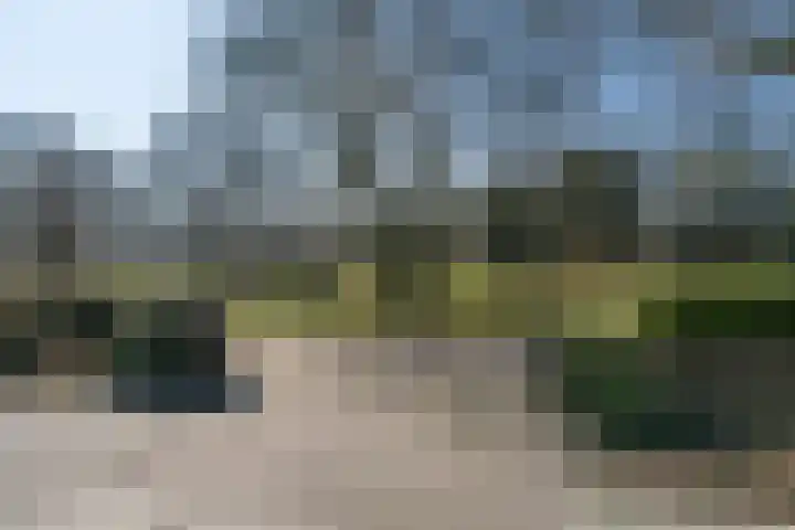 Willibrordusweg 96 Oss thumbnail 49