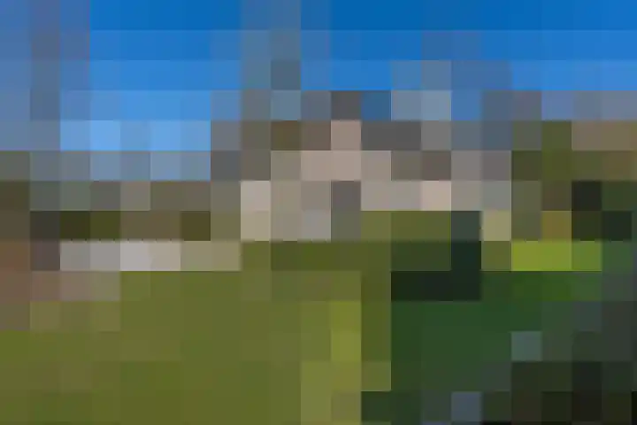 Willibrordusweg 96 Oss thumbnail 52