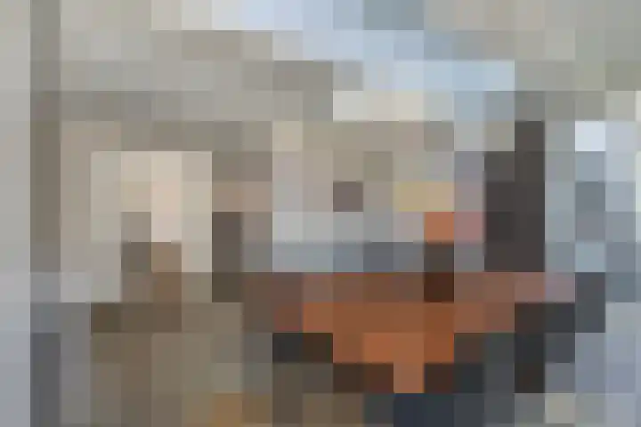 Willibrordusweg 96 Oss thumbnail 7