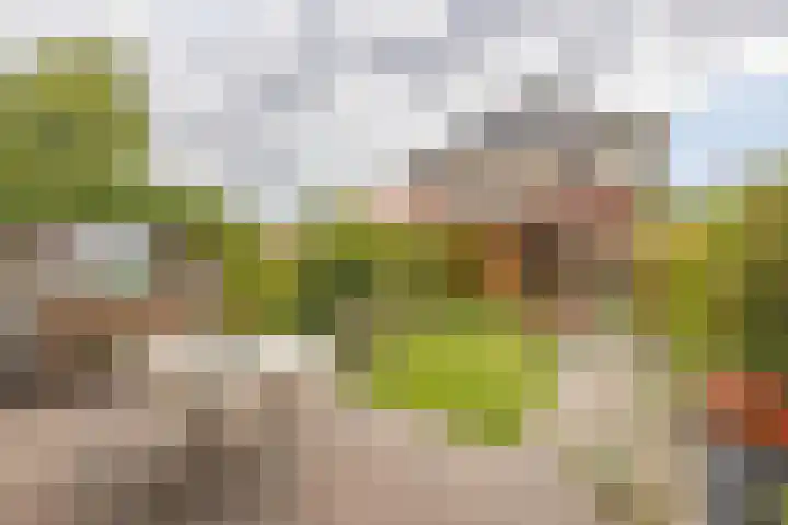 Willie Dixonstraat 14 Middelburg thumbnail 14