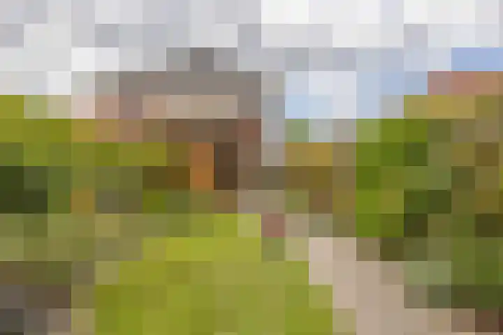 Willie Dixonstraat 14 Middelburg thumbnail 15