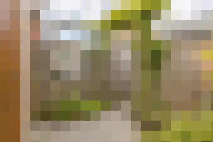Willie Dixonstraat 14 Middelburg thumbnail 17