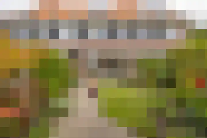Willie Dixonstraat 14 Middelburg thumbnail 18