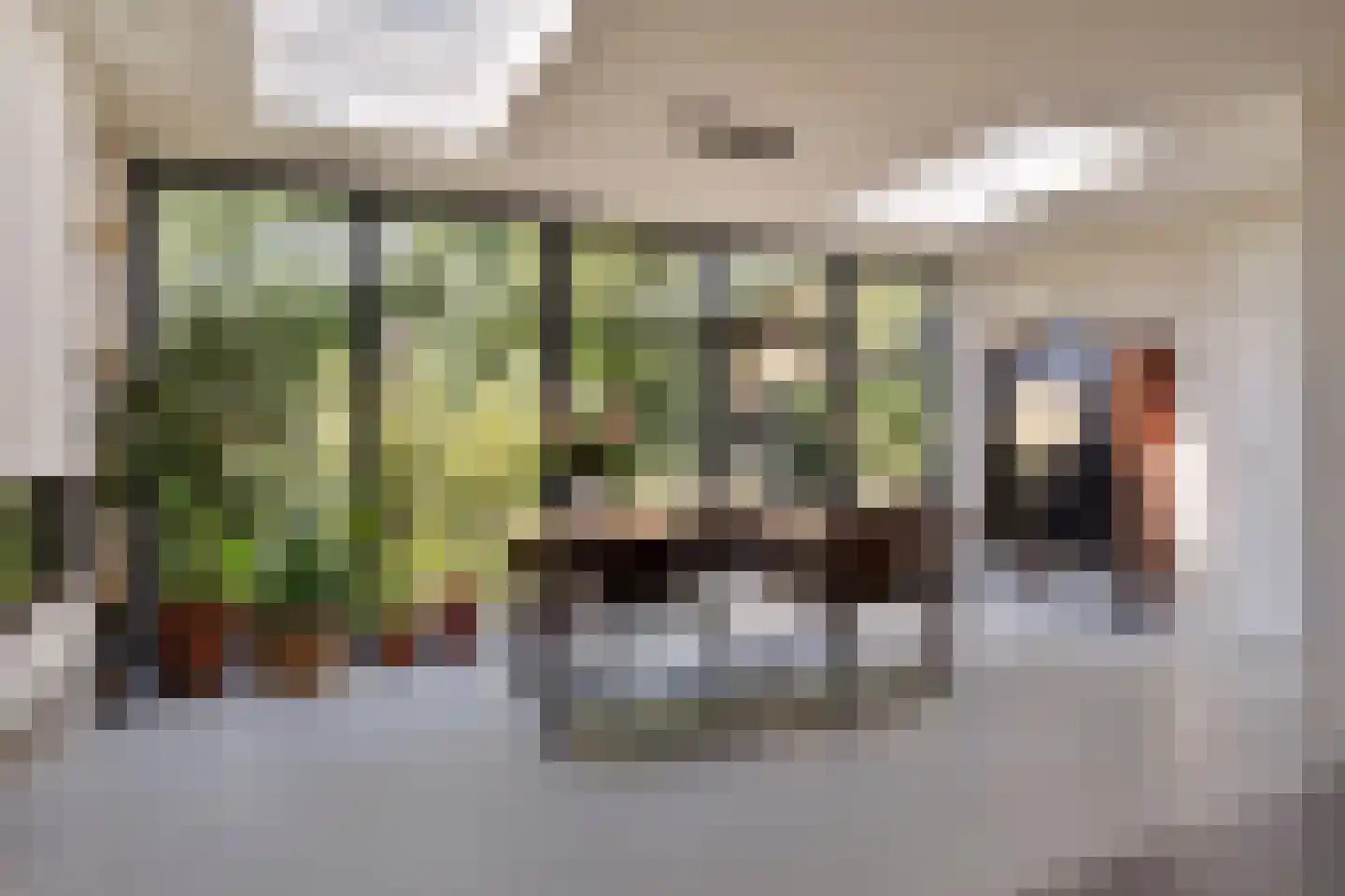 Willie Dixonstraat 3 Middelburg thumbnail 11