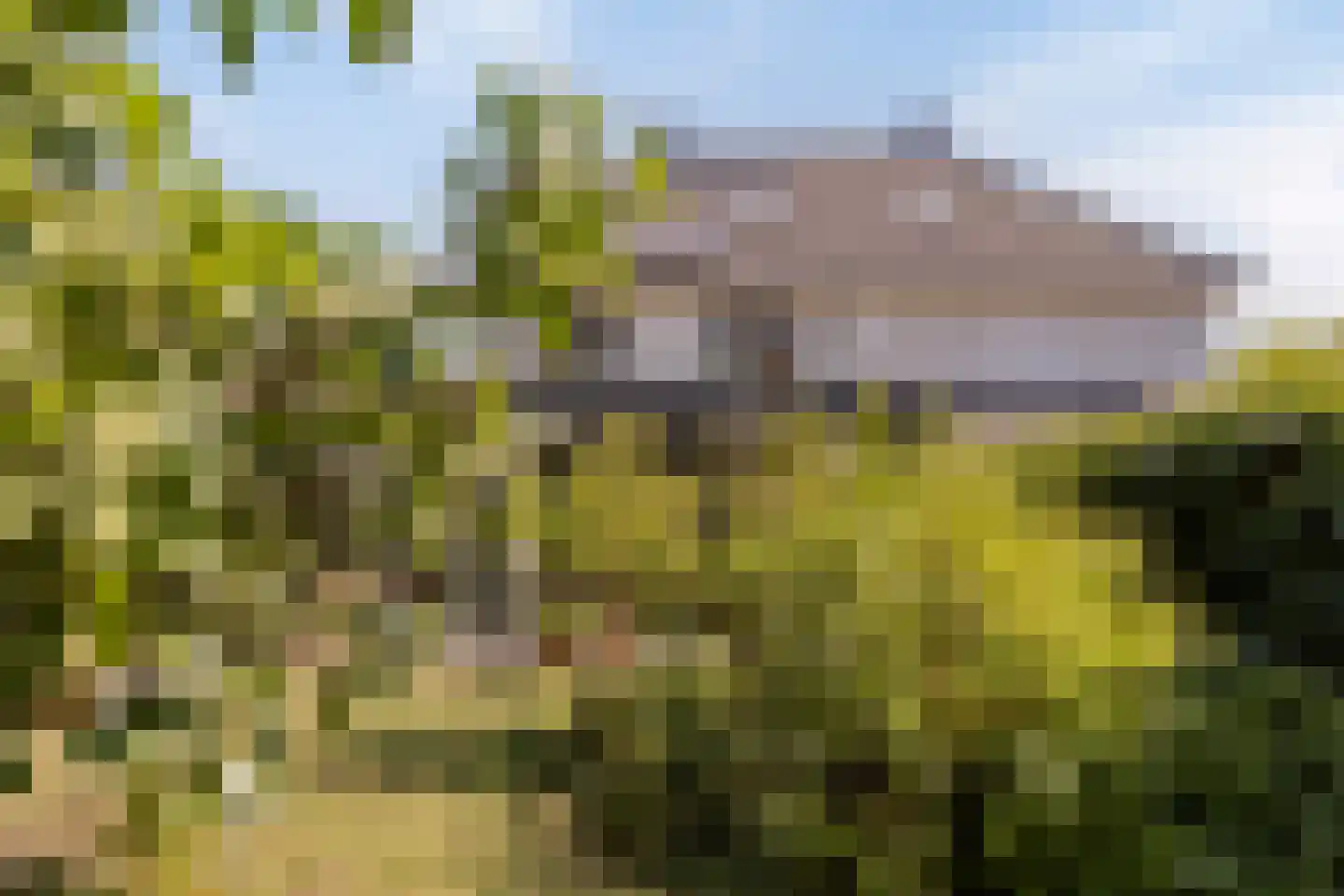 Willie Dixonstraat 3 Middelburg thumbnail 28