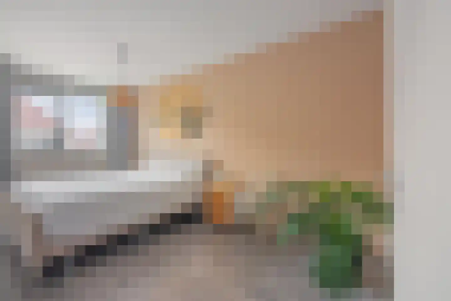 Willie Dixonstraat 6 Middelburg thumbnail 33