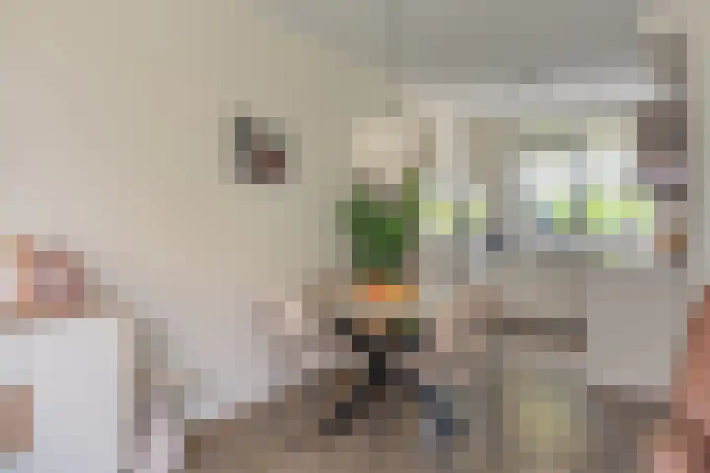 Willie Dixonstraat 6 Middelburg thumbnail 4