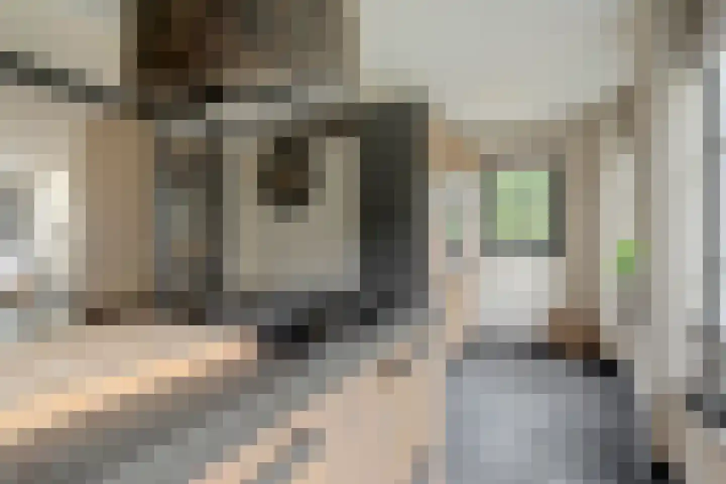 Willigen 13 Scherpenzeel thumbnail 12