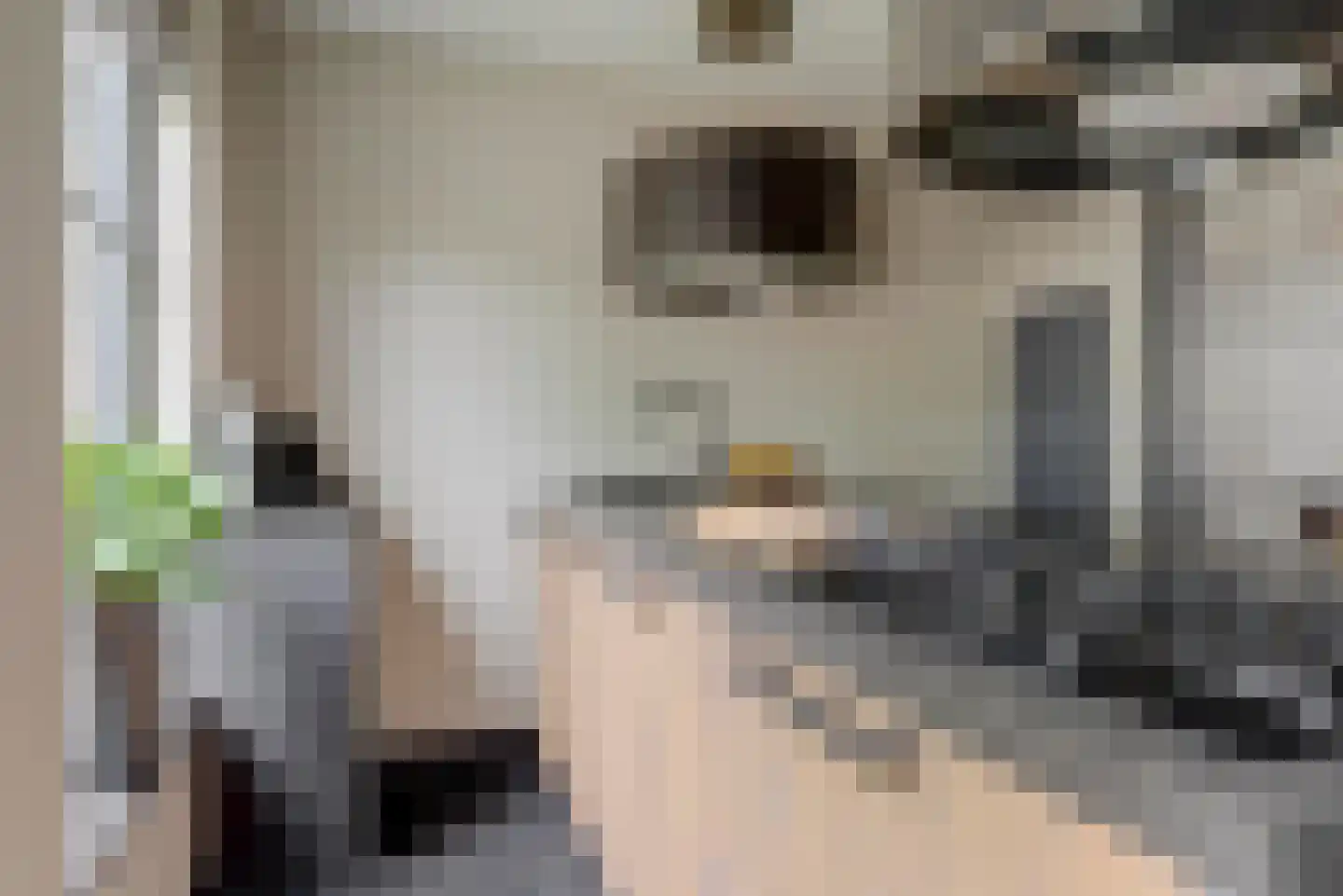 Willigen 13 Scherpenzeel thumbnail 13