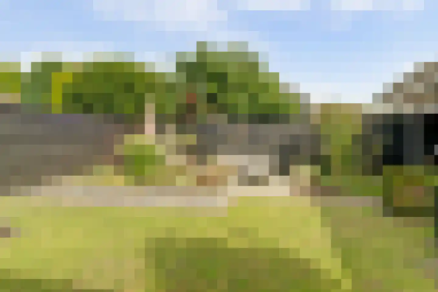 Willigen 13 Scherpenzeel thumbnail 22