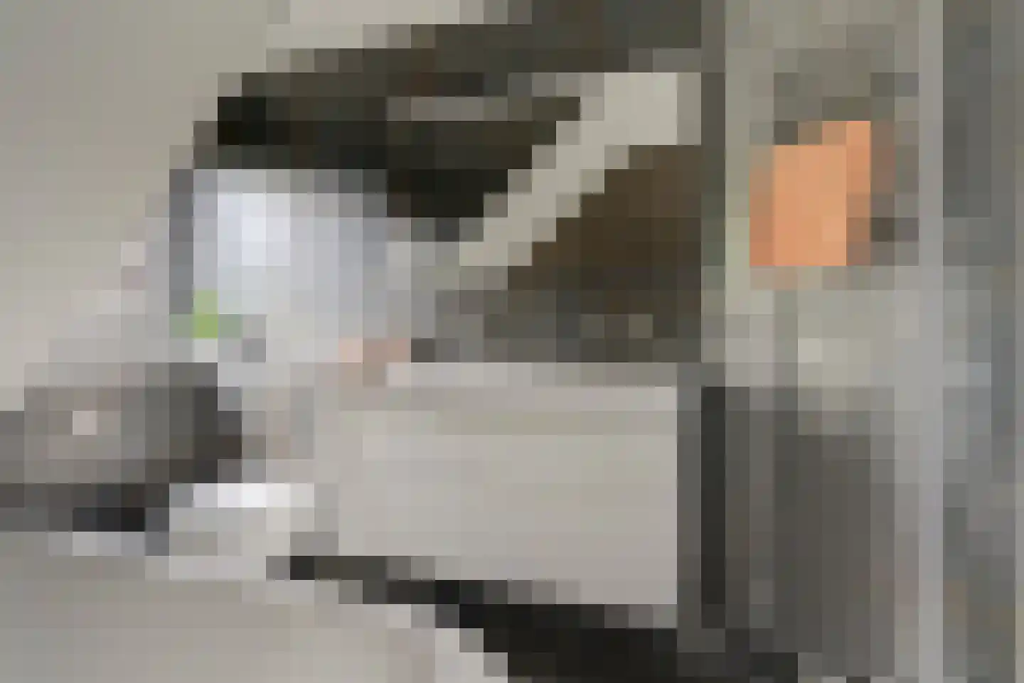 Willigen 13 Scherpenzeel thumbnail 32