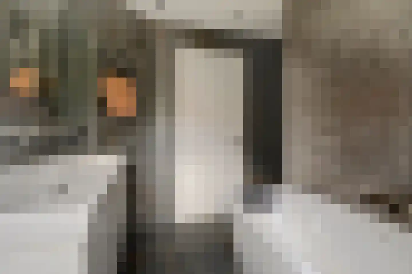 Willigen 13 Scherpenzeel thumbnail 33