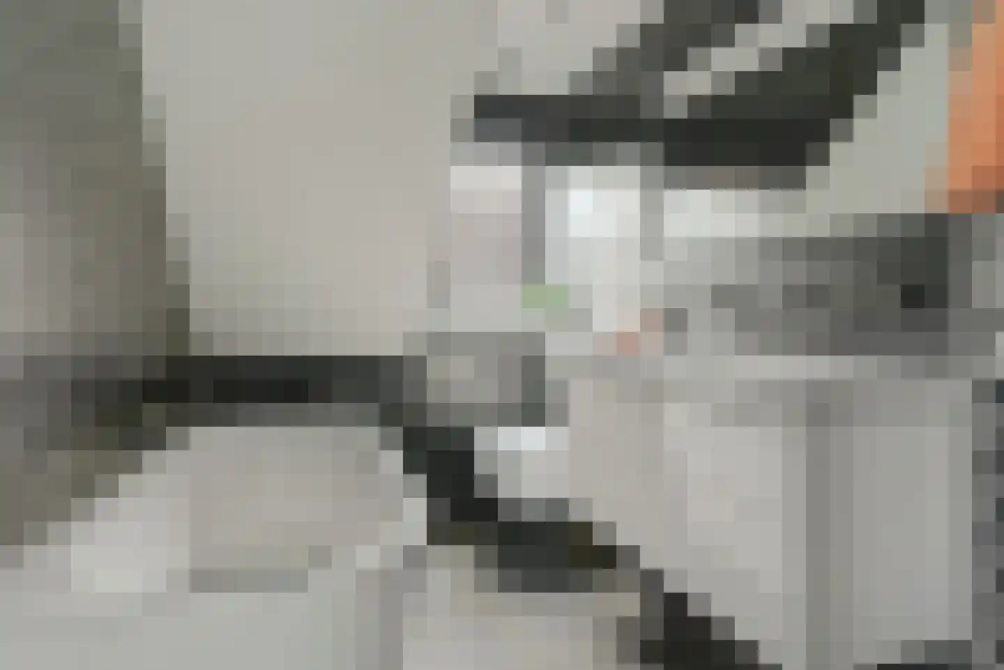 Willigen 13 Scherpenzeel thumbnail 34