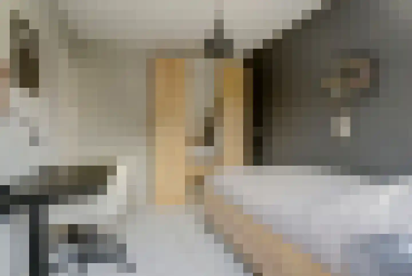 Willigen 13 Scherpenzeel thumbnail 36