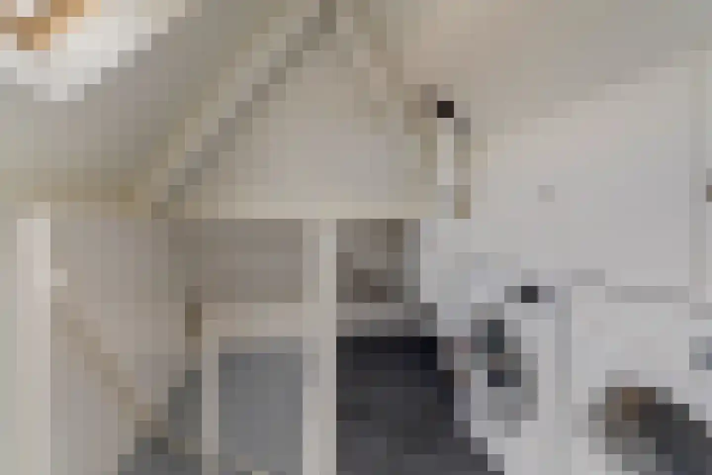 Willigen 13 Scherpenzeel thumbnail 38