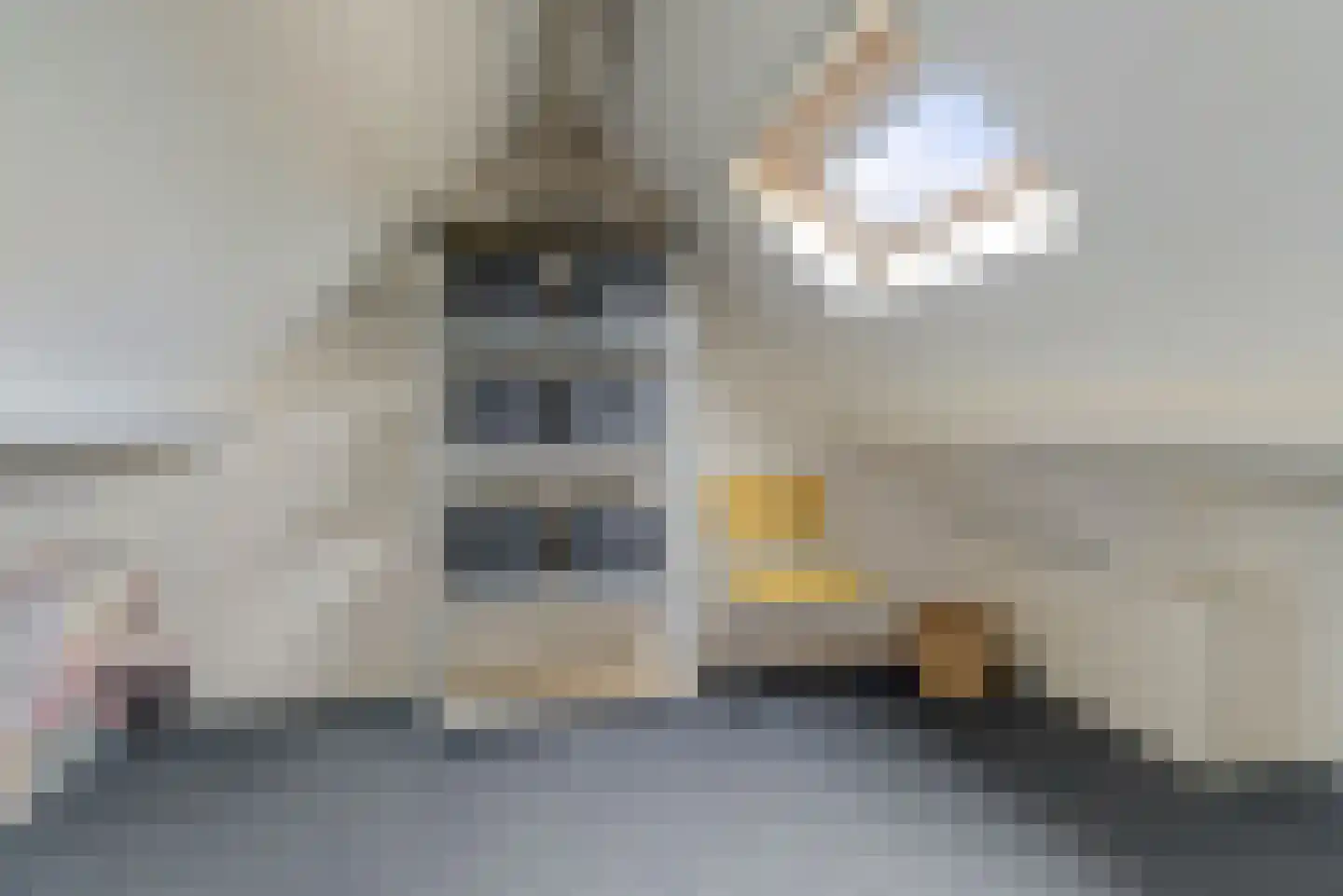 Willigen 13 Scherpenzeel thumbnail 39
