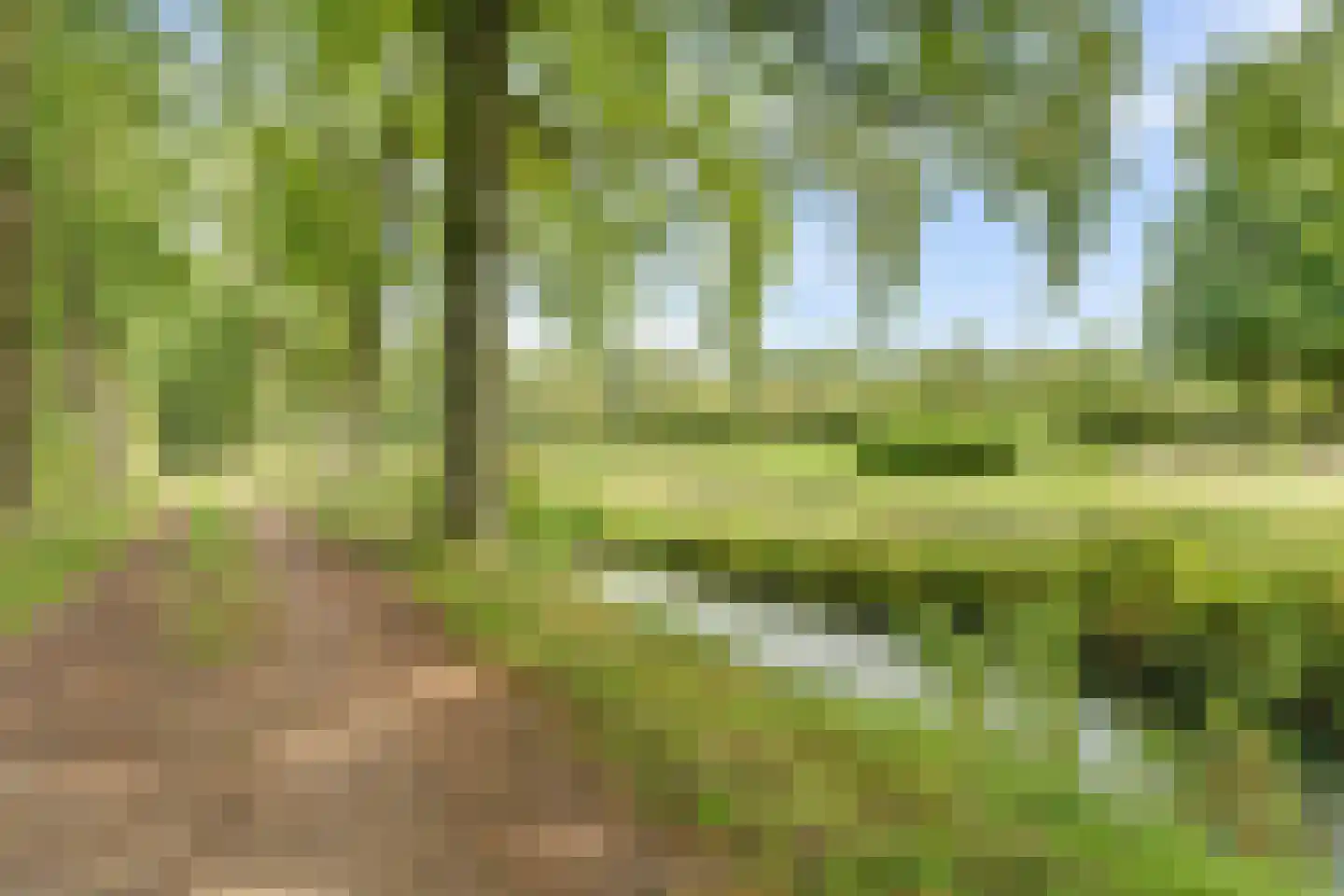 Willigen 13 Scherpenzeel thumbnail 41