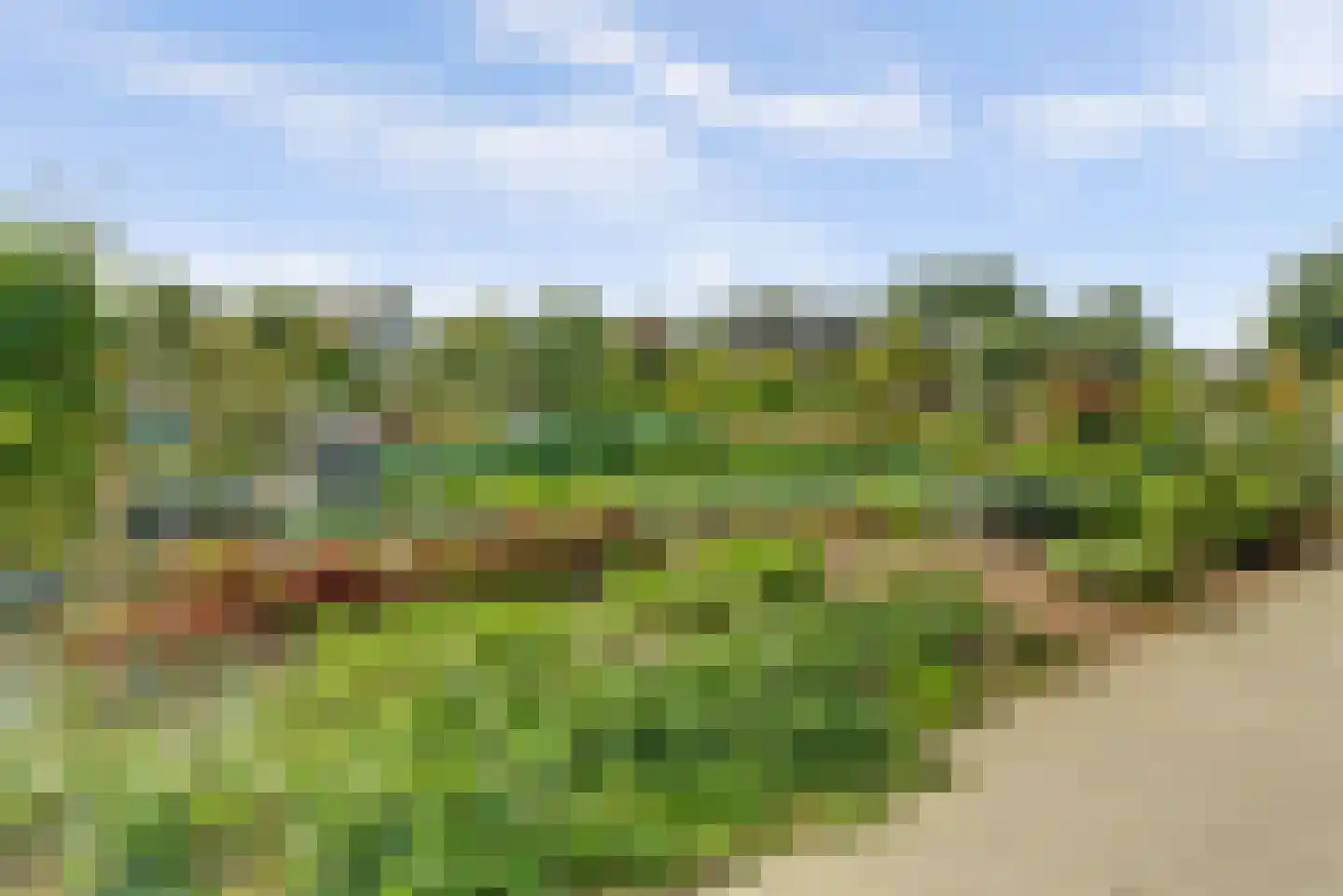 Willigen 13 Scherpenzeel thumbnail 42