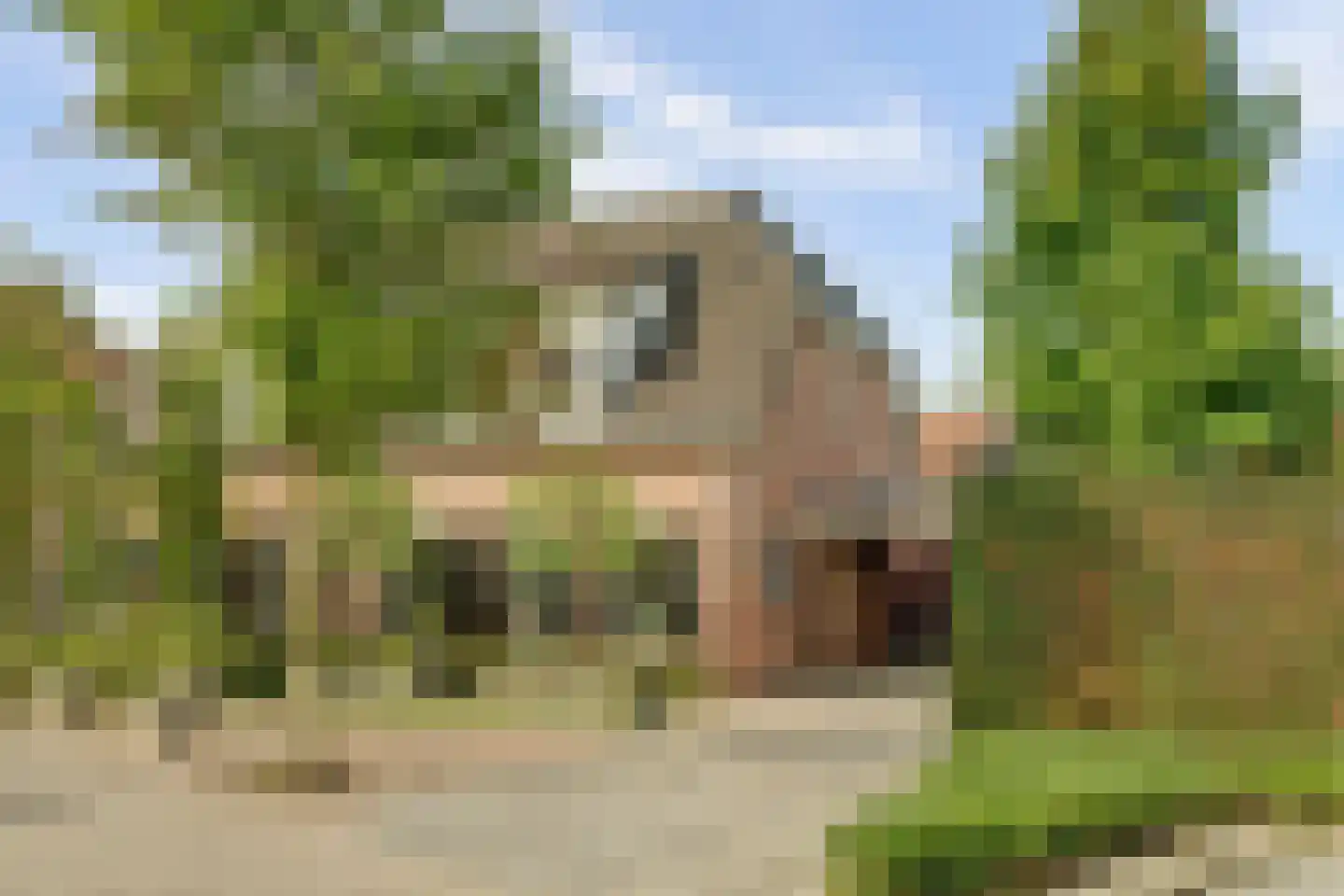 Willigen 13 Scherpenzeel thumbnail 6