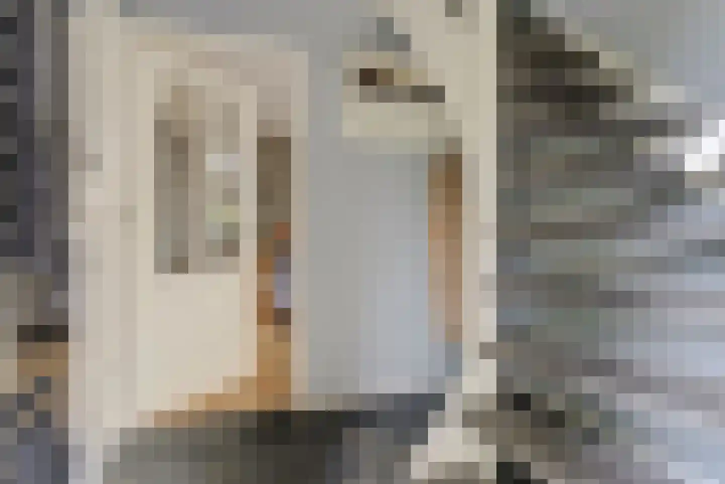 Willigen 13 Scherpenzeel thumbnail 9
