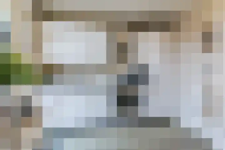 Willigenakkerstraat 15 Veldhoven thumbnail 15
