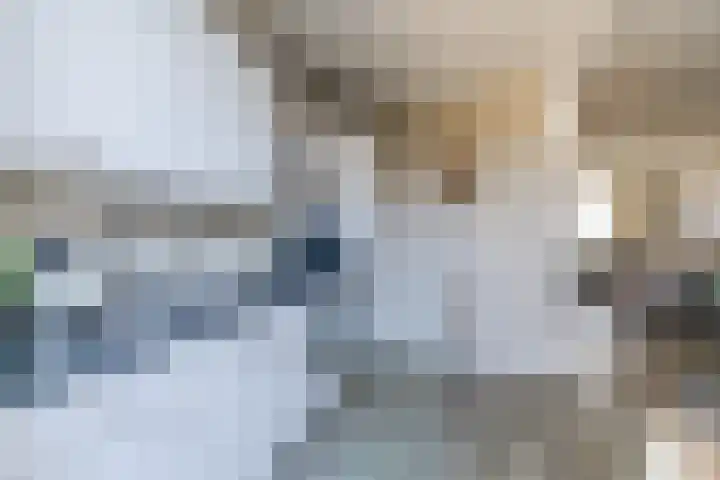 Willigenakkerstraat 15 Veldhoven thumbnail 16