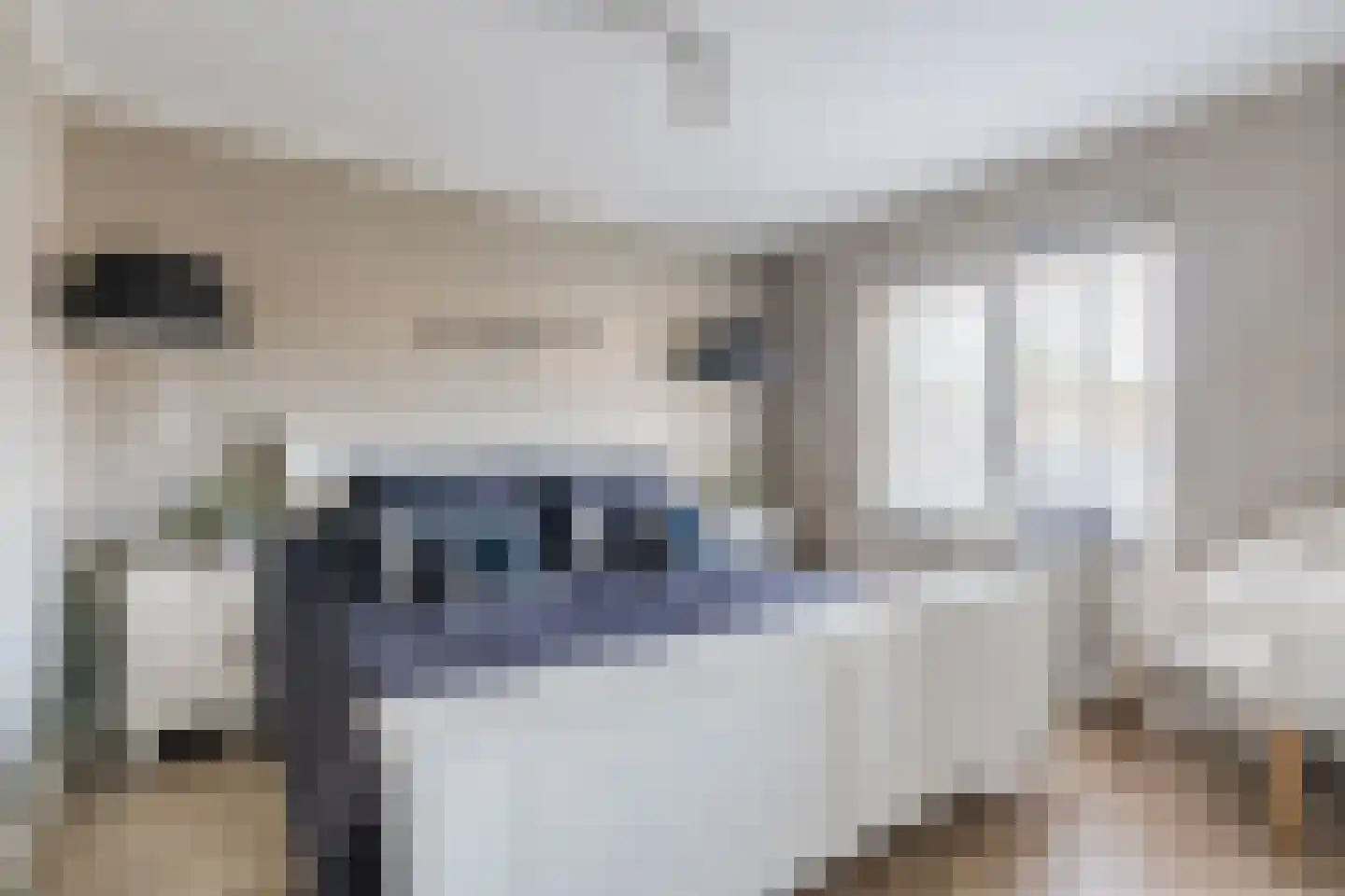Willigenakkerstraat 15 Veldhoven thumbnail 19