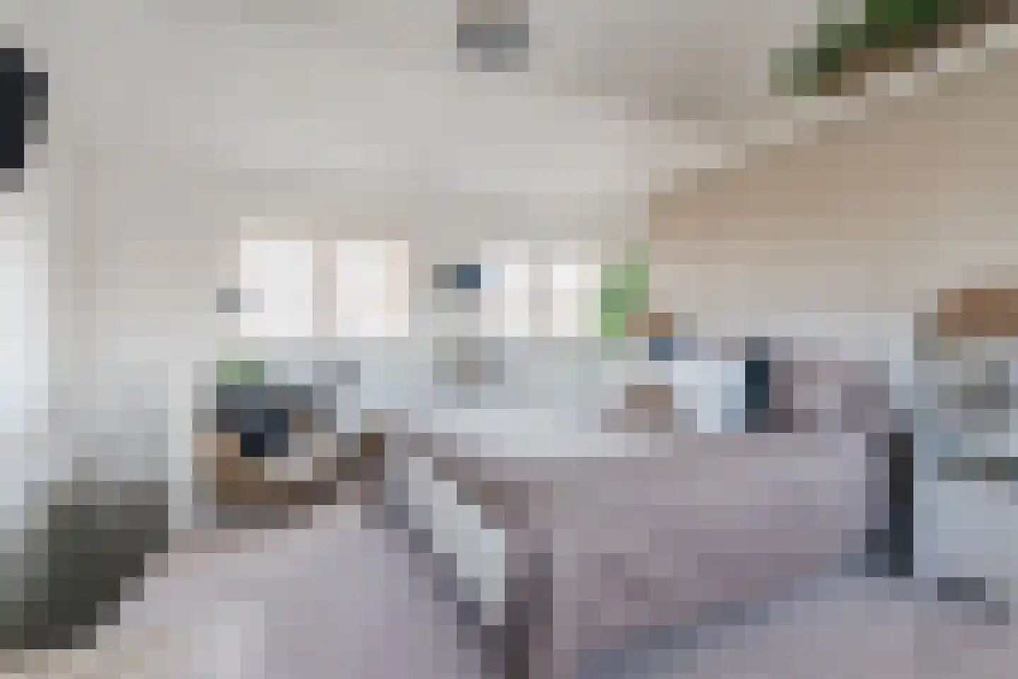 Willigenakkerstraat 15 Veldhoven thumbnail 26