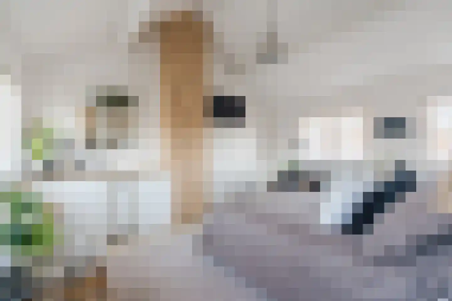 Willigenakkerstraat 15 Veldhoven thumbnail 27