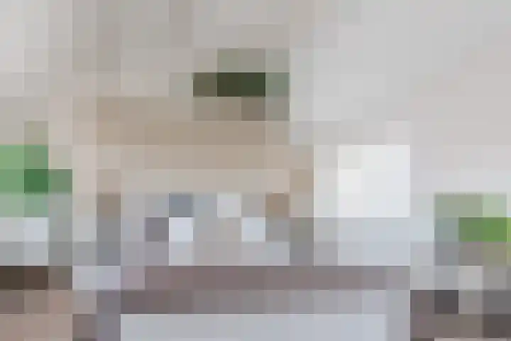 Willigenakkerstraat 15 Veldhoven thumbnail 28