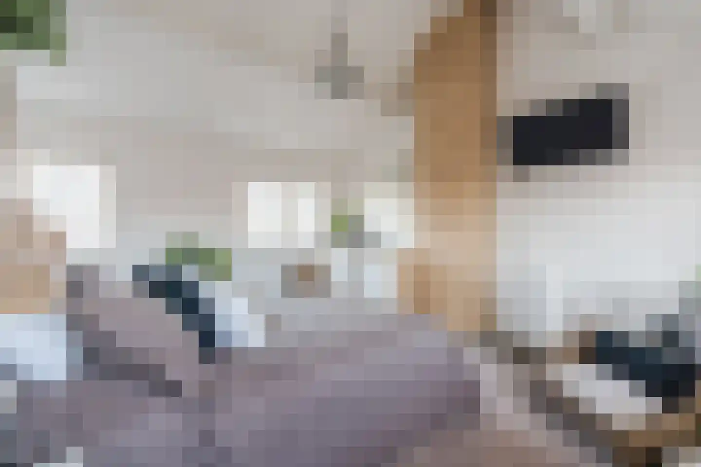 Willigenakkerstraat 15 Veldhoven thumbnail 28