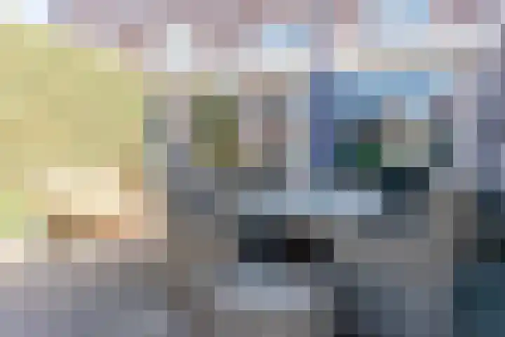 Willigenakkerstraat 15 Veldhoven thumbnail 31