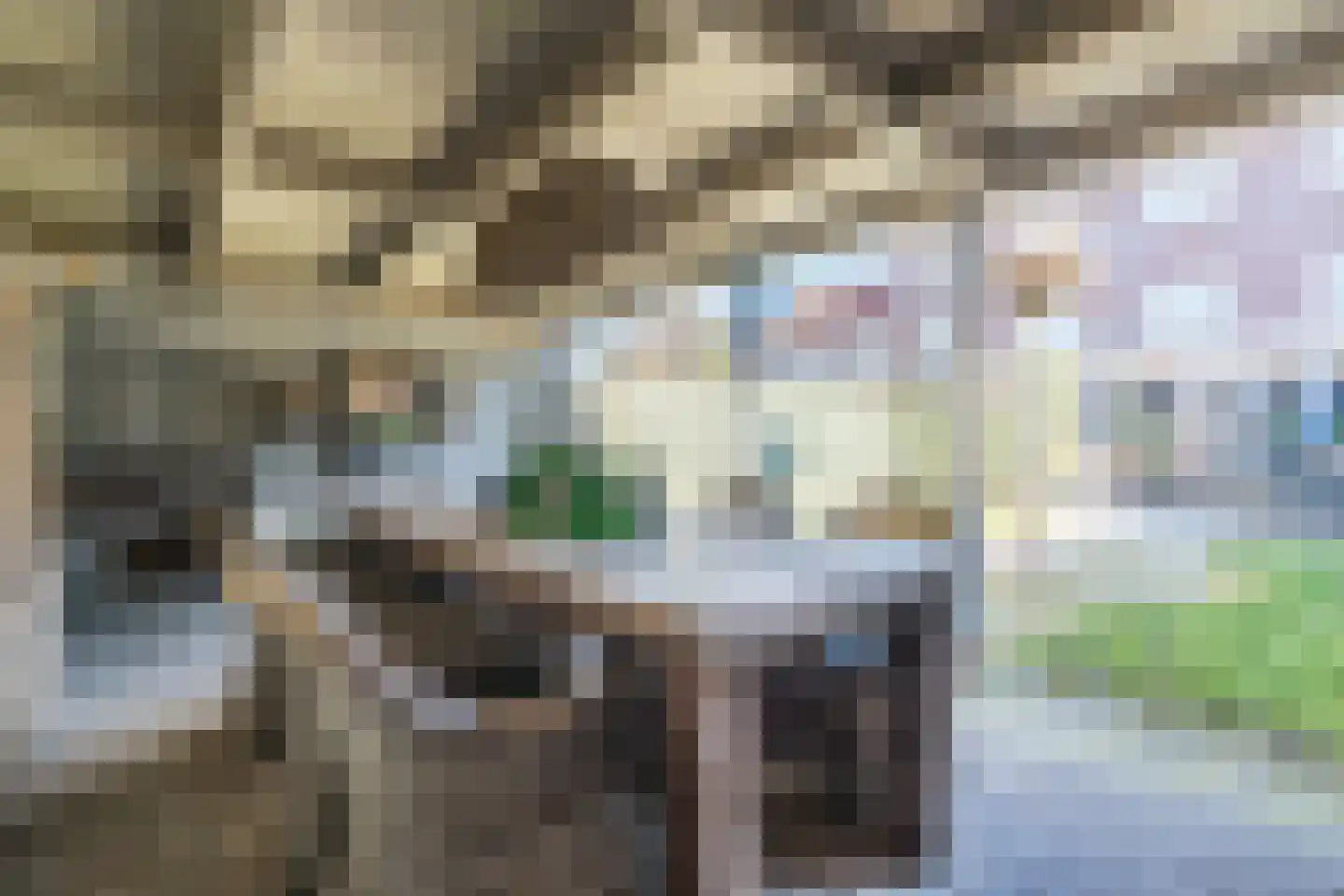 Willigenakkerstraat 15 Veldhoven thumbnail 35
