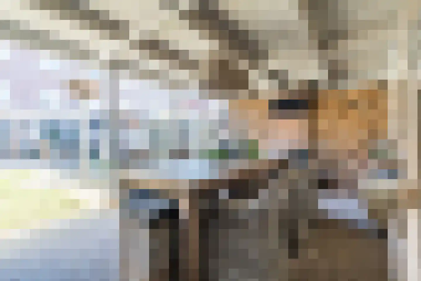 Willigenakkerstraat 15 Veldhoven thumbnail 36