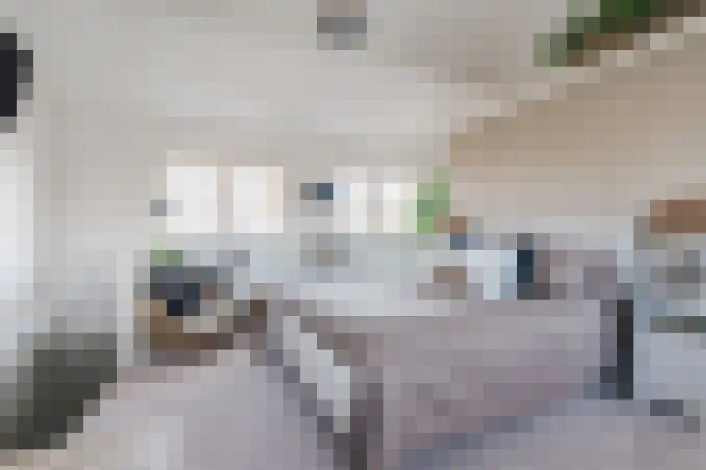 Willigenakkerstraat 15 Veldhoven thumbnail 5
