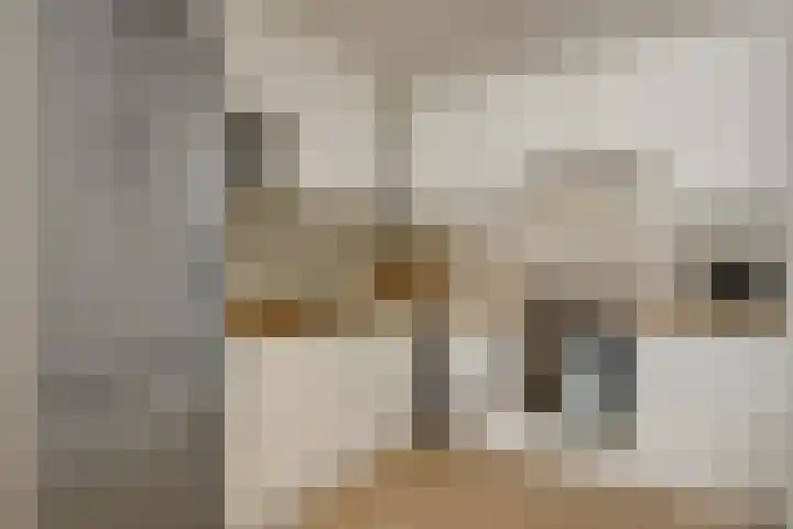 Willigenburg 3 Enkhuizen thumbnail 15