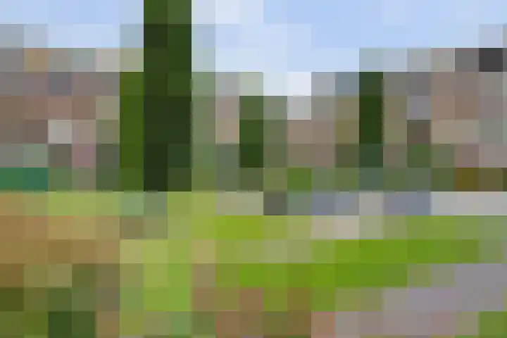 Willigenburg 3 Enkhuizen thumbnail 27