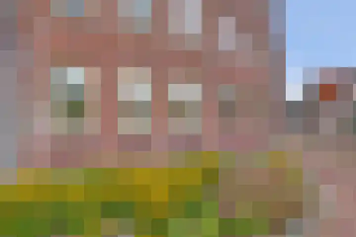 Willigenburg 3 Enkhuizen thumbnail 4