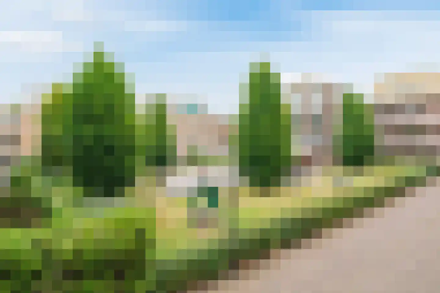 Willigenburg 46 Enkhuizen thumbnail 35