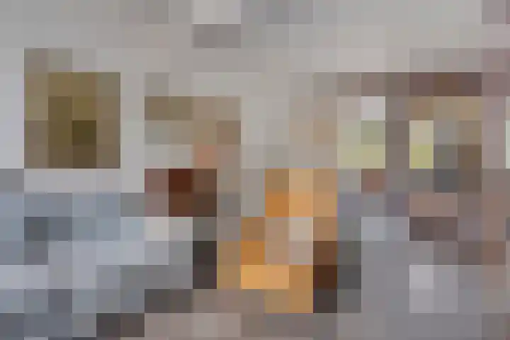 Willink van Collenstraat 11 Breukelen thumbnail 5