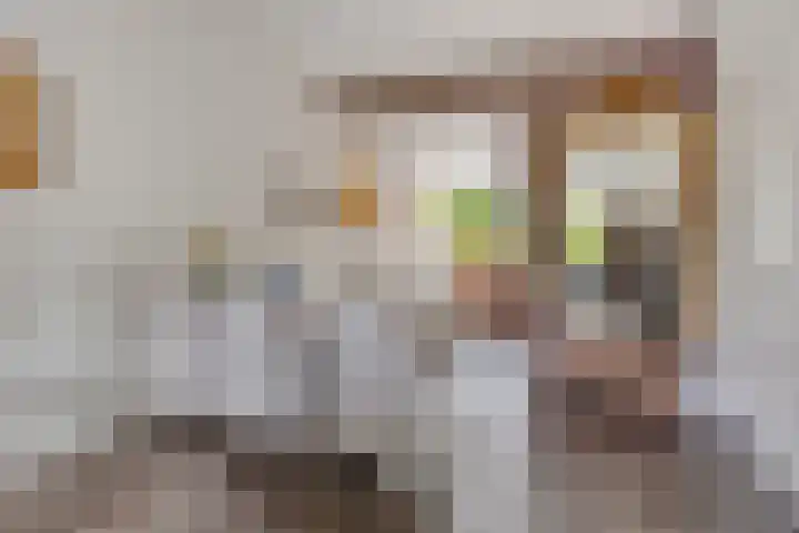 Willink van Collenstraat 11 Breukelen thumbnail 9