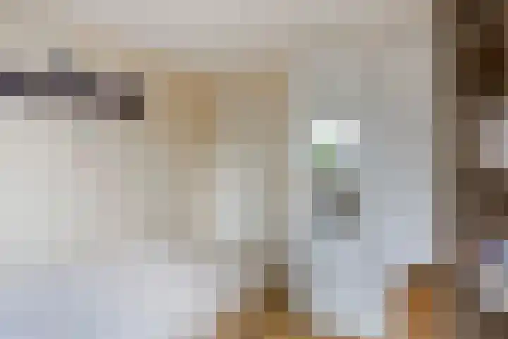 Willink van Collenstraat 35 Breukelen thumbnail 20