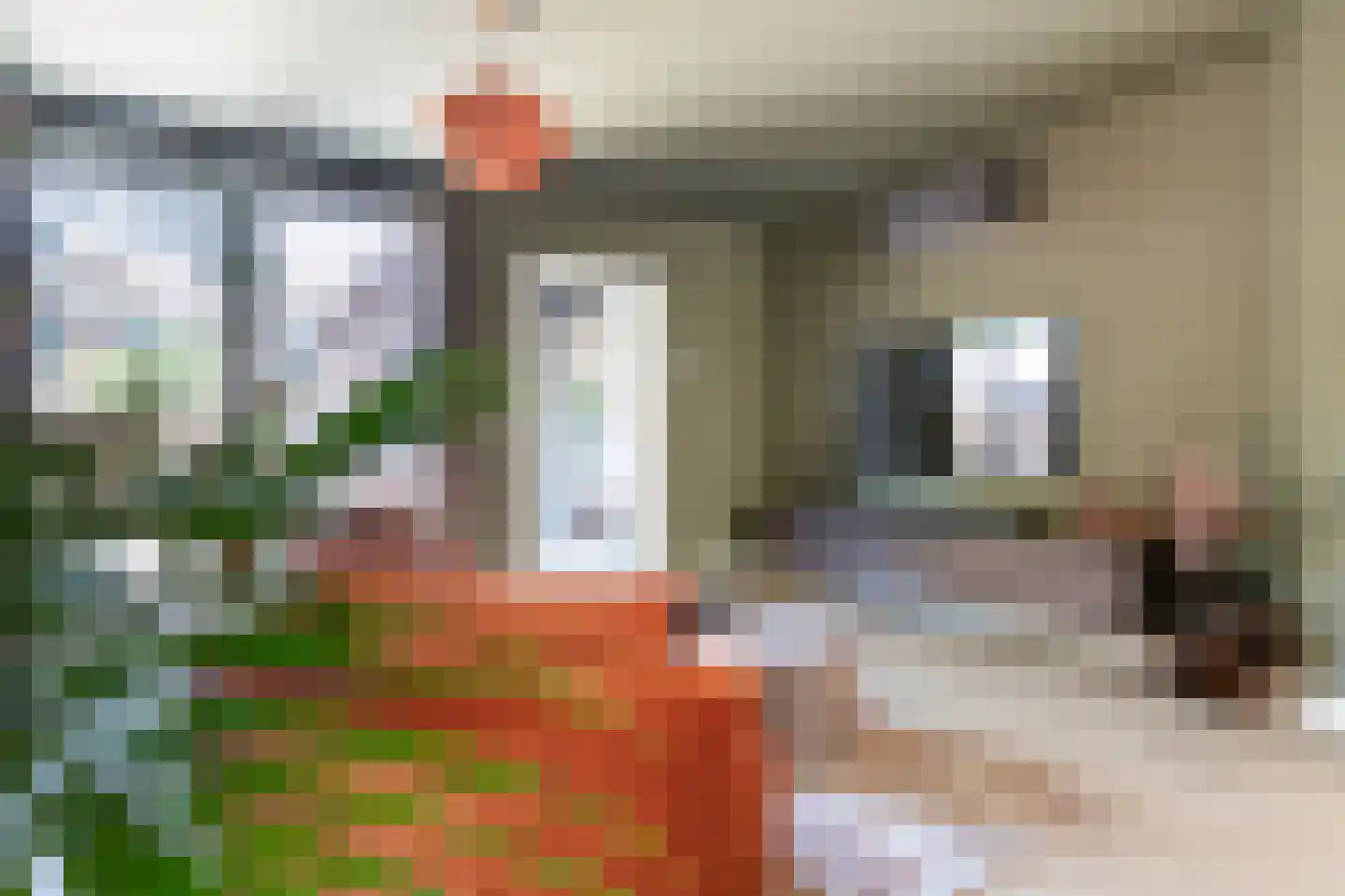 Willink van Collenstraat 38 Breukelen thumbnail 11