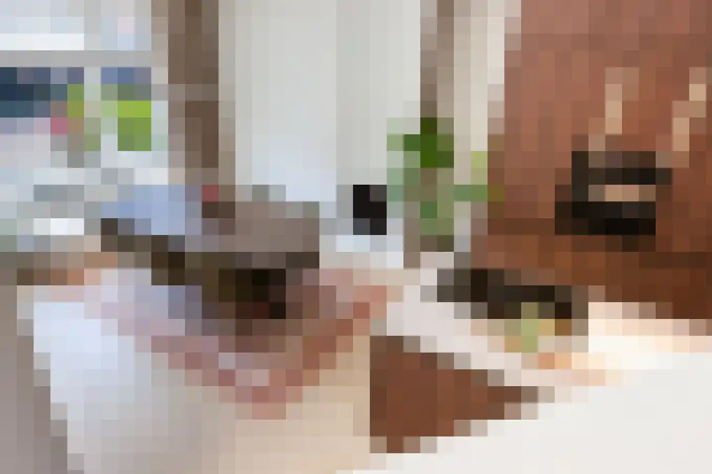 Willink van Collenstraat 38 Breukelen thumbnail 17