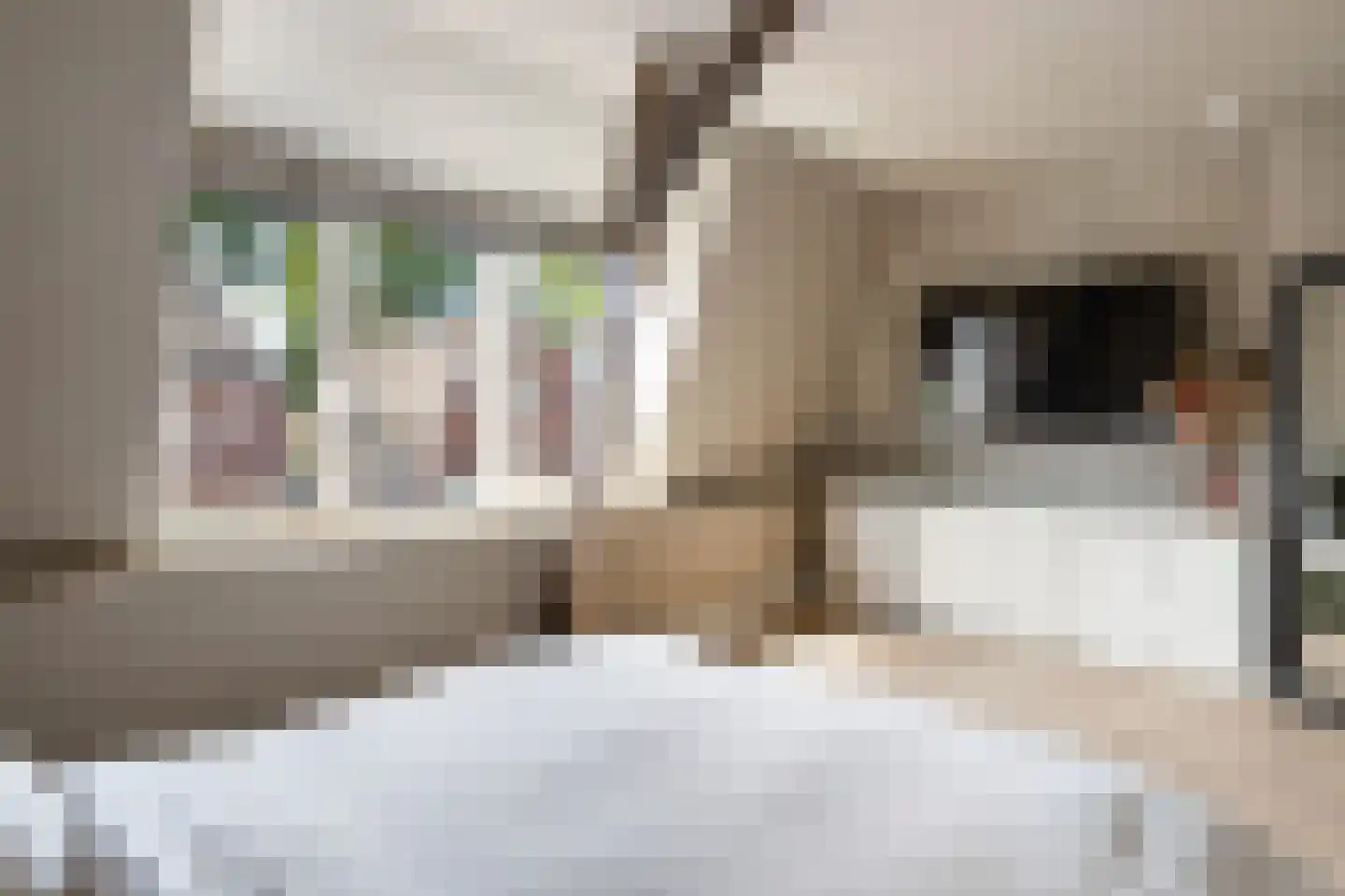 Willink van Collenstraat 38 Breukelen thumbnail 20